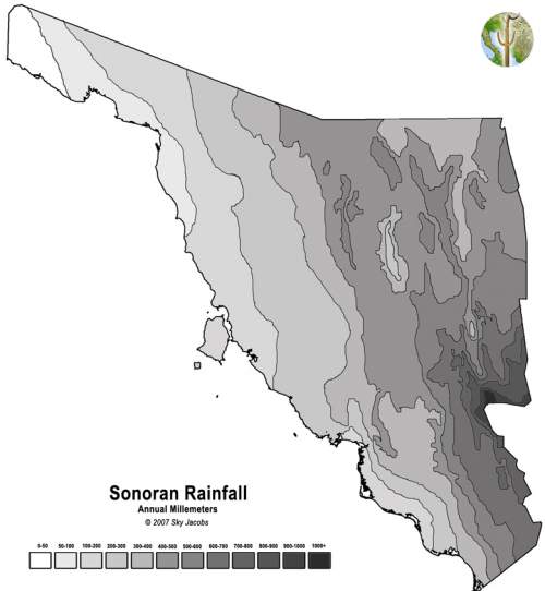 Rainfall map of Sonora, Mexico