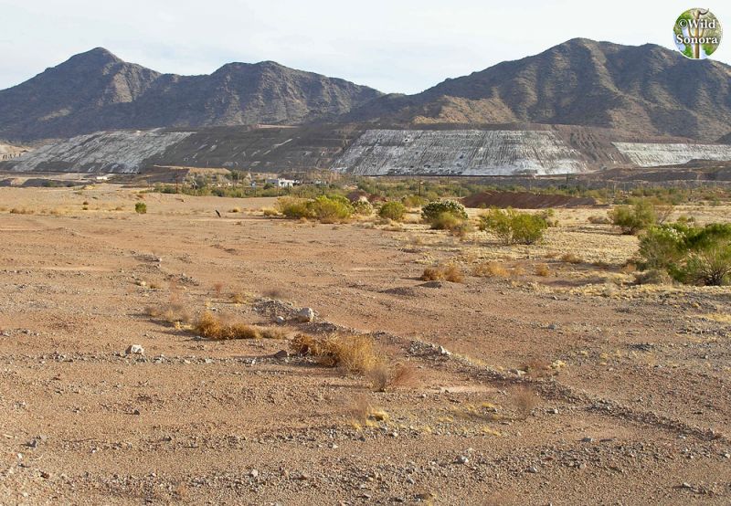 Cyprus Tohono Mine, Tohono O'odham Nation