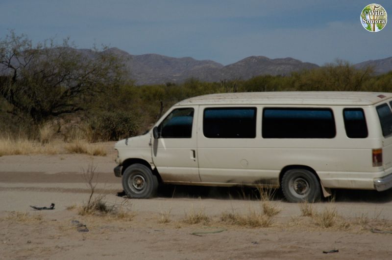 Migrant van on Altar/Sásabe Highway