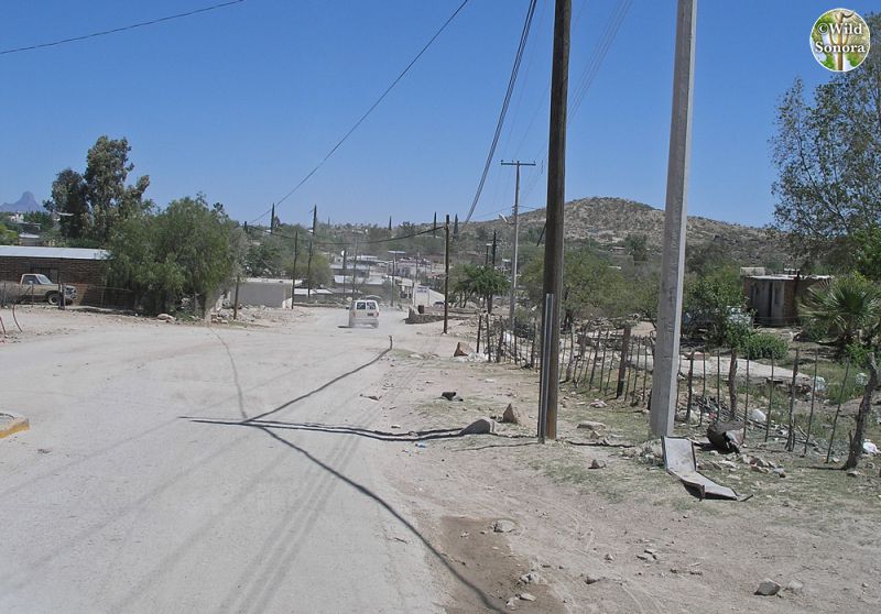 Sasabe, Sonora