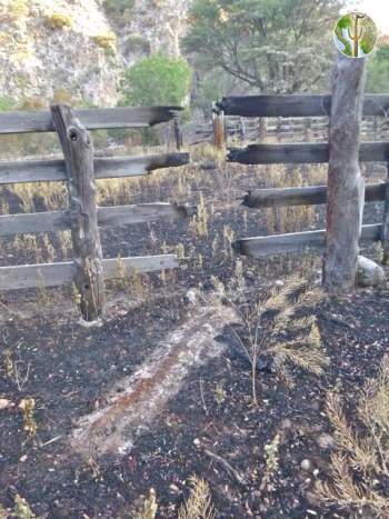 Ashes of a fallen corral post give mute evidence of a recent fire.