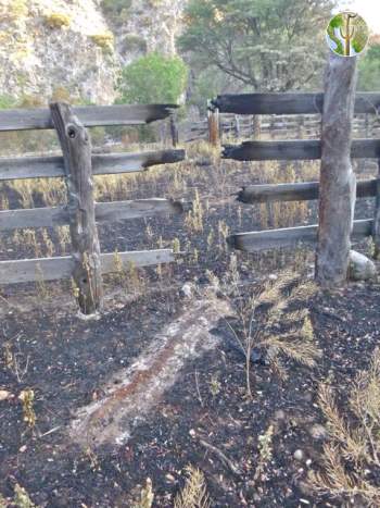 Fire burned several posts in the corral, but spared some. Ashes of a fallen corral post give mute evidence of a recent fire.