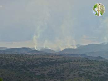 Pan Duro fires, Sonora Pan Duro fires, Sonora