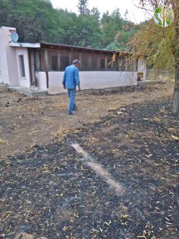 Rancho Pan Duro fireline All it took was a narrow scraped fireline to save the ranch house.