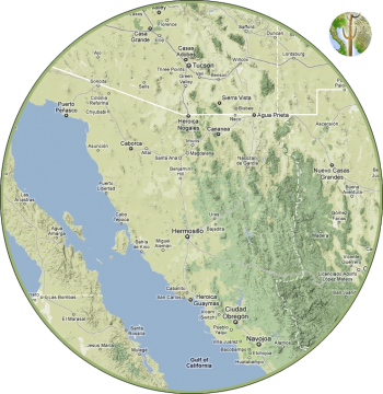 Wild Sonora region Wild Sonora region