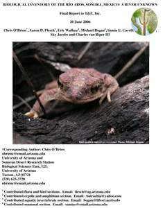 Cover of 2005 Biological Inventory 2005 Biological Inventory of the Rio Aros/Yaqui, Sonora cover