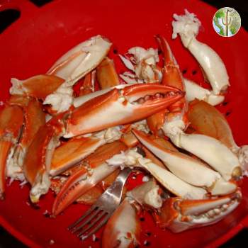 Crab harvest