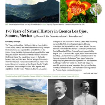 170 Years of Natural History in Cuenca Los Ojos, Sonora, Mexico cover