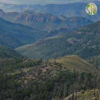 Chiricahua Mountains Chiricahua Mountains