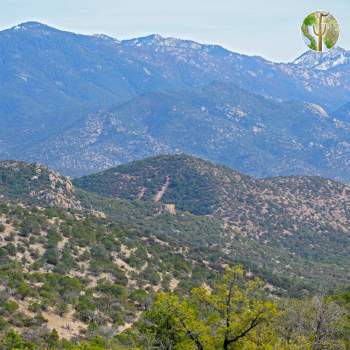Huachuca Mountains Huachuca Mountains