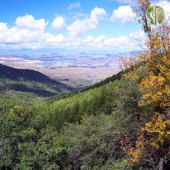 Pinal Mountains, Arizona Pinal Mountains, Arizona