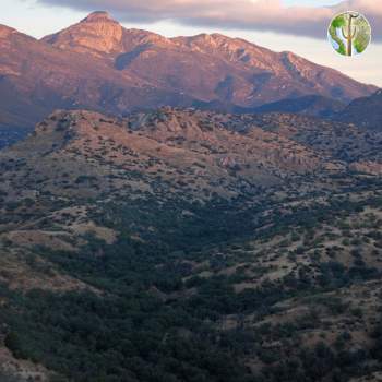 Santa Rita Mountains Santa Rita Mountains
