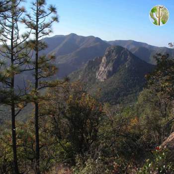 Sierra El Tigre Sierra El Tigre