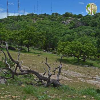 Sierra Mazatán Sierra Mazatán