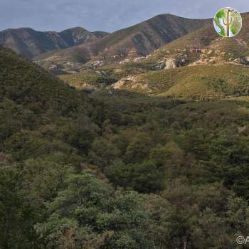 Sierra San Luis Sierra San Luis