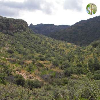 Tumacacori Highlands, Atascosa Mountains Tumacacori Highlands, Atascosa Mountains