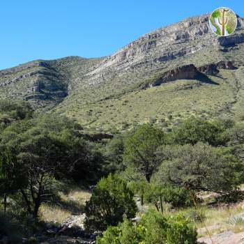 Whetstone Mountains Whetstone Mountains