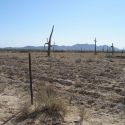 Tilling of the desert for buffelgrass and cattle