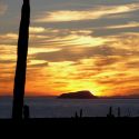 Seri Coast sunset and cardon