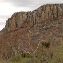 Sycamores and Cliff, Cajón del Agua, Sonora