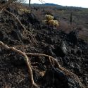 Black rock, Pinacate Biosphere Reserve
