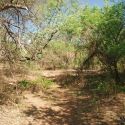 El Tigre Canyon and Riverfront