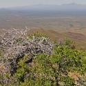 Sierra El Humo vista with Baboquivari