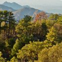 Sierra El Pinito, Sonora