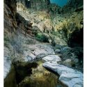 Swamp Springs Canyon, Galiuro Mountains (Bob Van Deven)
