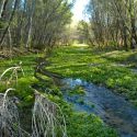 Rio Cocospera at El Aribabi
