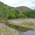 Santa Cruz River, San Lazaro, Sonora
