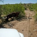 Tank Trap and overturned car, Sonora