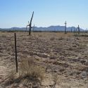 Tilling and blading of Sonoran Desert for buffelgrass