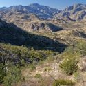Upper Bear Canyon, Santa Catalina Mountains