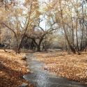 The upper Santa Cruz river near San Lazaro, Sonora