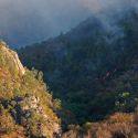 Wildfire in the Sierra Madre of Sonora