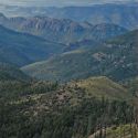 Chiricahua Mountains