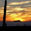 Seri Coast sunset and cardon
