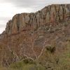 Sycamores and Cliff, Cajón del Agua, Sonora