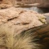 Gaan Canyon (Devil's Canyon), Rancho Rio Creek