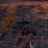 Nice lighting, Pinacate Biosphere Reserve