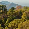 Sierra El Pinito, Sonora