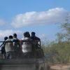 Migrants in pickup truck headed to border