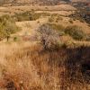 Rosemont Valley in the Santa Ritas