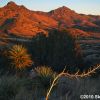 Rosemont Valley in the Santa Ritas