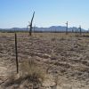 Tilling and blading of Sonoran Desert for buffelgrass