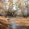 The upper Santa Cruz river near San Lazaro, Sonora