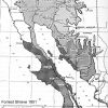 Sonoran Desert Subdivision map, Shreve 1951