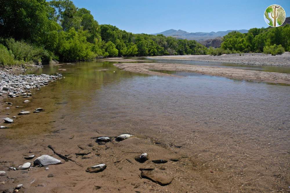 Rio Bavispe downstream of the Morelos, Sonora, near the Sierra El Tigre Rio Bavispe emerging from the Sierra Madre, upper Bavispe Valley near Huachinera