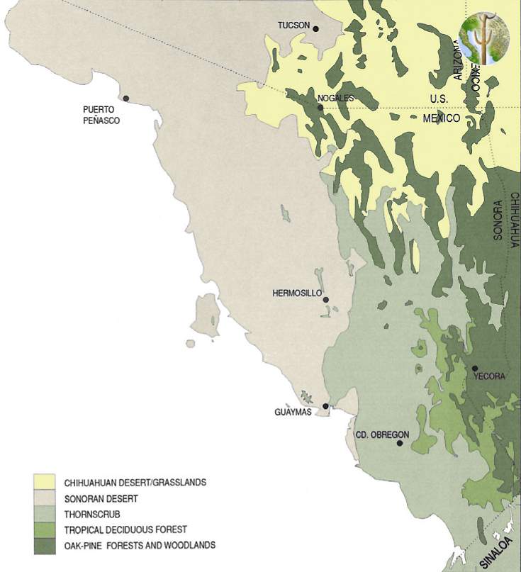 Vegetation Association Map, Sonora, Mexico